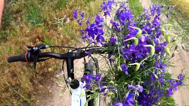 Hermosas Flores Color Púrpura Salvaje Manillar Negro Una Bicicleta Camino — Vídeos de Stock