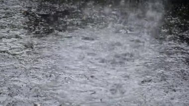 Yağmur. Yağmur damlıyor. Asfalta şiddetli yağmur damlaları damlıyor. Yağmur damlaları asfalta çarptı. Yağmur damlaları yoldaki su birikintisine düşer. Yağmurlu bir hava. Yağmurlu bir gün. Doğal arka plan. Islak yağmurlu su sıçraması
