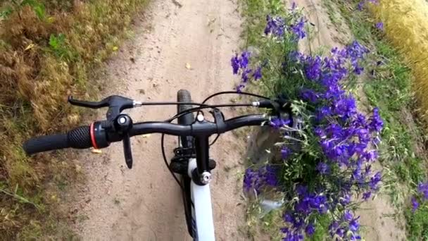 Piękne Dzikie Purpurowe Kwiaty Czarnej Kierownicy Roweru Polnej Drodze Kołyszącej — Wideo stockowe