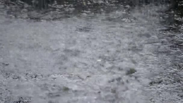 Hujan Hujan Menetes Tetes Hujan Lebat Menetes Aspal Tetes Hujan — Stok Video