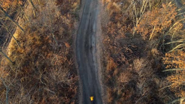 Γυναίκα Κίτρινο Σακάκι Βόλτες Ποδήλατο Μαύρο Χωματόδρομο Μεταξύ Δέντρων Και — Αρχείο Βίντεο