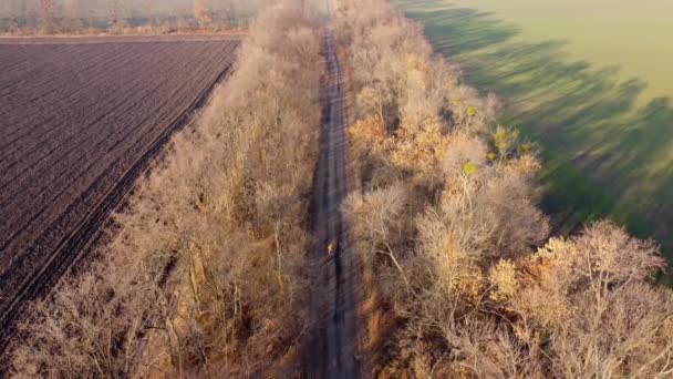 Γυναίκα Κίτρινο Σακάκι Ιππασία Ποδήλατο Μαύρο Δρόμο Μεταξύ Των Δέντρων — Αρχείο Βίντεο