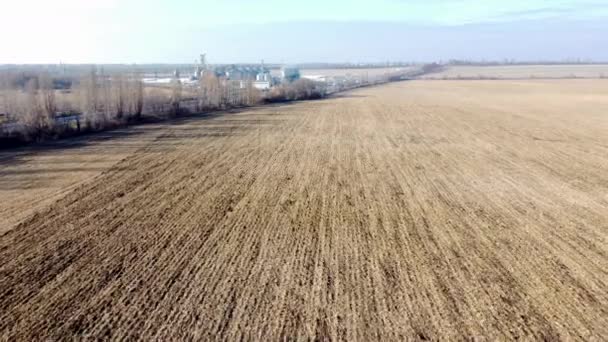 Tarım Endüstrisi Manzarası Kuru Buğday Hasadı Asansör Güneşli Bir Sonbahar — Stok video