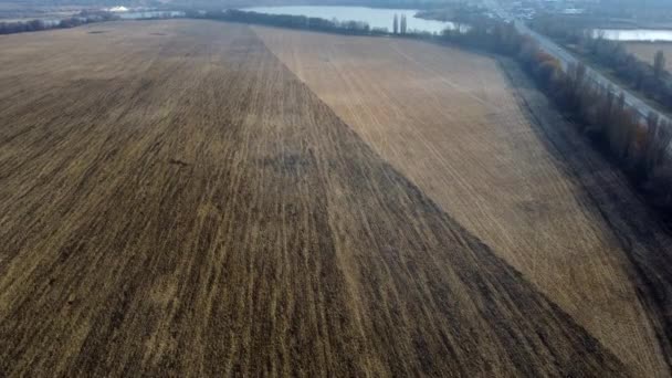 秋の日に車を運転して高速道路を収穫した後 耕された土地と黄色の乾燥わらと大規模な耕地 農業工業農業農場の風景です 空中ドローンビュー — ストック動画