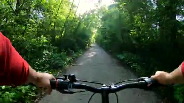 Kvinna Ridning Cykel Längs Betong Plattan Väg Grön Skog Solig — Stockvideo