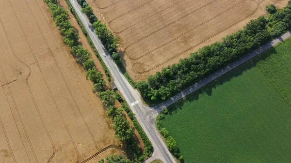 Automobile Asphalt Road Cars Driving Agricultural Fields Yellow Ripened Wheat — Φωτογραφία Αρχείου