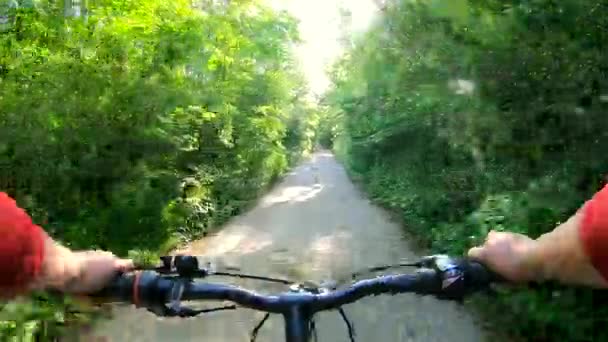 Güneşli Yaz Gününde Yeşil Ormanda Beton Yol Boyunca Bisiklet Süren — Stok video