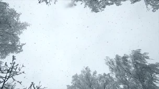 Schneefall Von Oben Viel Schnee Fällt Von Oben Schneefall Schnee — Stockvideo