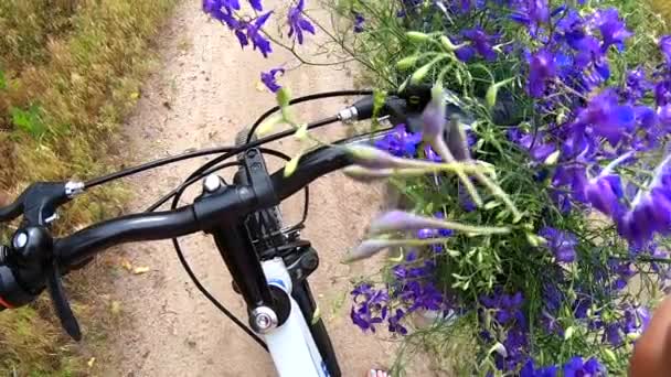 Güzel Mor Çiçekler Siyah Bisiklet Gidonu Üzerinde Toprak Arazi Yolunda — Stok video