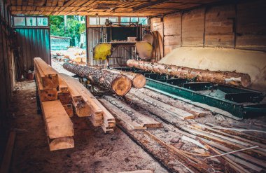 Bıçkıhane. Teçhizat testere makinesindeki makine kayıtları tahta tahtalardaki ağaç gövdesini testereyle kesiyor. Ahşap talaşı ahşap ahşap işçiliğini kesiyor.