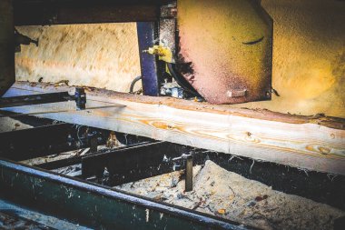 Bıçkıhane. Teçhizat testere makinesindeki makine kayıtları tahta tahtalardaki ağaç gövdesini testereyle kesiyor. Ahşap talaşı ahşap ahşap işçiliğini kesiyor.