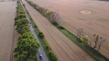 Otoyol, arabalar ve ağaçlar ekilmiş ve olgunlaşmış buğdaylar arasında. Tarım tarımı tarım arazisi. Hasat mahsulü manzarası. Seyahat aracı. Hava aracı görüntüsü. Üst görünüm.