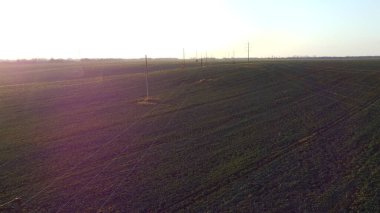 Landscape view agricultural fields with green agro-industrial plants and high voltage power lines in field. Red sun glare. Lifting up, rising above agrarian industrial fields on sunny morning evening