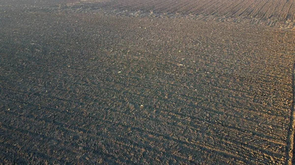 Plowed field and trees without leaves lit by sunlight on sunny autumn spring day. Tilled land field. Chernozem black earth field. Dug up earth. Flying over plowed agricultural field. Aerial drone view