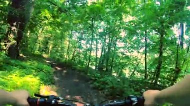Güneşli bir yaz gününde ormanda kirli bir yolda bisiklet süren bir adam. Ormandaki yeşil ağaçlar arasında bisiklet süren biri. Bakış açısı. Aşırı eğlence, aktif yaşam tarzı etkinliği