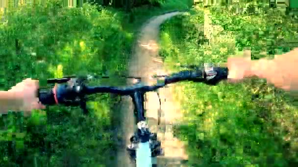 Uomo Bicicletta Sentiero Sterrato Nella Foresta Una Giornata Estiva Soleggiata — Video Stock
