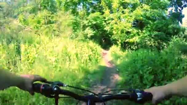 Mężczyzna Jeżdżący Rowerze Ścieżce Lesie Słoneczny Letni Dzień Osoba Jeżdżąca — Wideo stockowe