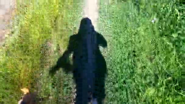 在阳光明媚的夏日 女人赤脚站在草地上 手里拿着鞋子的影子 影子人在泥土上行走 生态旅游旅游生态友好型自然自然 — 图库视频影像