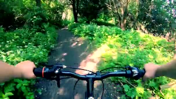 Чоловік Їде Велосипеді Брудній Доріжці Лісі Сонячний Літній День Людина — стокове відео