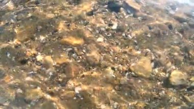 Güneşli havalarda deniz kabuklarıyla kaplı kayalık deniz yatağını seyret. Sudaki dalgalanmalar, güneş parlaması, güneşin kum yüzeyindeki dalgalanmaları. Şeffaf su. Ağır çekim. Doğa, doğal arkaplan