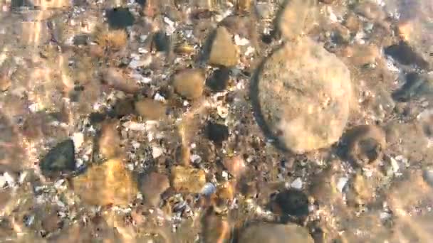 날에는 암석으로 해저에서 조가비를 가지고 바라보라 표면에는 태양의 반사등 잔물결을 — 비디오