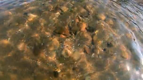 Kilátás Víz Sziklás Tengerfenék Kagyló Napsütéses Időben Hullámok Vízen Napfény — Stock videók