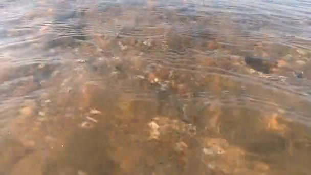 바다의 위에서 잔물결 자갈로 자연적 — 비디오