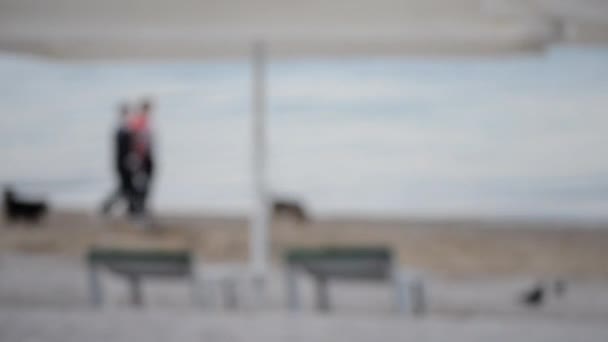 夏天的一天 背景模糊的海滨沙滩躺椅 两个人在海滩上遛狗 — 图库视频影像