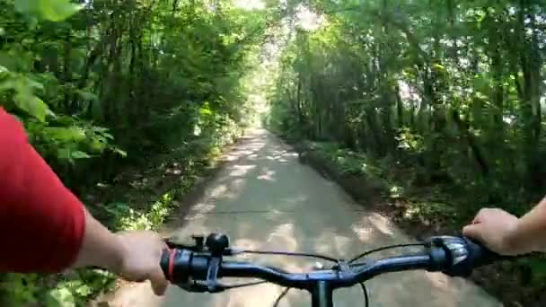 Женщина Ездит Велосипеде Бетонной Дороге Зеленом Лесу Солнечный Летний День — стоковое видео