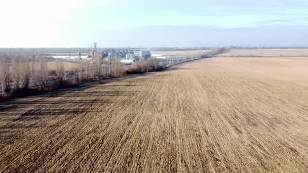 Kuru Buğday Hasadı Asansör Güneşli Bir Sonbahar Gününde Hareket Halindeki — Stok video
