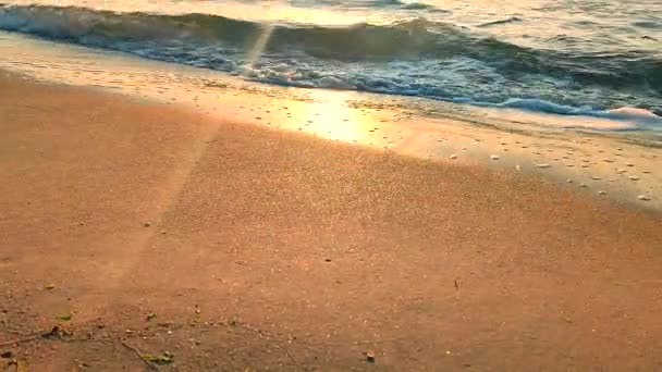 Fale Morskie Toczące Się Piaszczystej Plaży Brzegowej Wybrzeżu Morza Zachodzie — Wideo stockowe