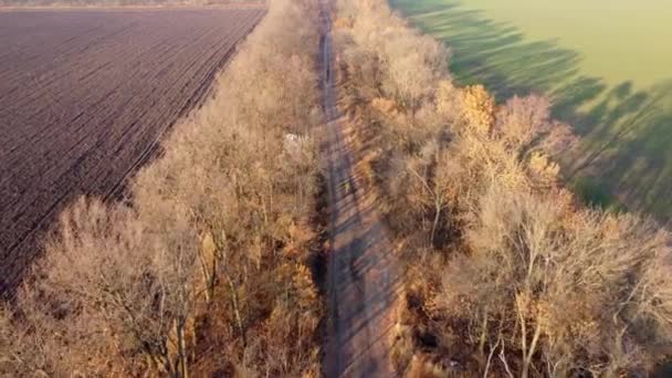 Biciklizés Fekete Földúton Között Fák Mezőgazdasági Mezők Napsütéses Őszi Napon — Stock videók
