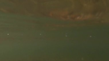 Denizin şeffaf su yüzeyi, dalgalar, suyun dalgaları yakından kumlu taban, güneşli bir günde mavi gökyüzü. Dalgalar içeride dönüyor. Doğa, su altında doğal bir arka plan. Ağır çekim. Su seviyesi