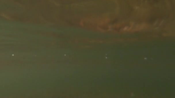 Superficie Agua Transparente Del Mar Olas Ondulaciones Primer Plano Del — Vídeo de stock