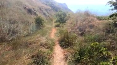 Güneşli bir yaz günü, mavi deniz kenarındaki tepede yeşil çimenler arasında yürüyen biri. Seyahat eko turizm eko-turizmi. Doğal çevre geçmişi. Doğa ekolojik zemin. POV Yavaş çekim