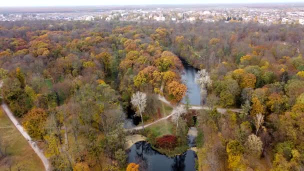 Schöner Panoramablick Herbst Park Und Stadt Viele Verschiedene Bäume Mit — Stockvideo