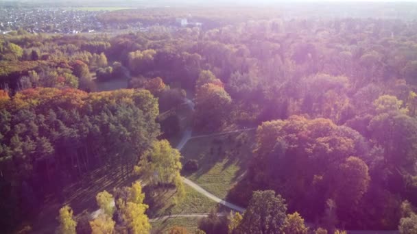 全景公园与不同的树木与黄色的红色绿叶 土路和人走在一个阳光明媚的秋日 红色的太阳耀斑 自然阳光 顶部视图 空中无人驾驶飞机视图 — 图库视频影像