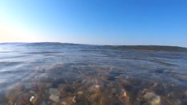 晴れた夏の日の終わりに青い空に対して透明な水の圧延海の波 波の中を見る 石や貝殻で海のビーチのサンディボトム 自然風景 自然背景 — ストック動画