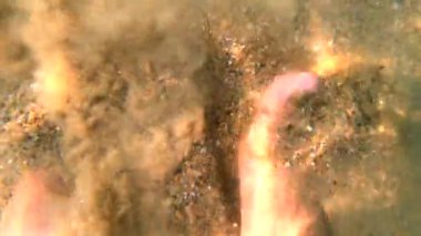 Denizin kumlu kayalıklarında çıplak ayaklarıyla ayakta duran ve ayaklarını kuma gömen bir kadın. Çıplak ayaklı beyaz kadın, saydam suda yakın planda. Seyahat tatilinde dinlenin.