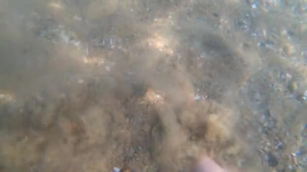 Женщина Стоящая Босиком Песке Водой Закапывая Ноги Песок Женщина Ковыряла — стоковое видео