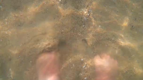 Γυναίκα Στέκεται Ξυπόλητη Στην Άμμο Κάτω Από Νερό Και Σκάβει — Αρχείο Βίντεο