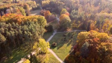 Flying over trees with yellow and green leaves in a park with dirt paths and people walking on a sunny autumn day. Forest wood woodland nature natural sunlight sunshine. Aerial drone view. Top view.
