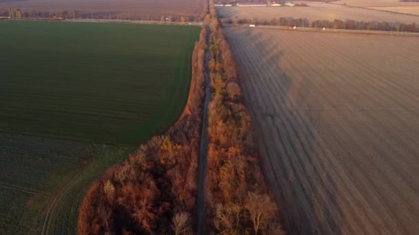 Gyönyörű Mezőgazdasági Gazdaság Táj Különböző Mezőgazdasági Területeken Autópálya Vezetés Autók — Stock videók