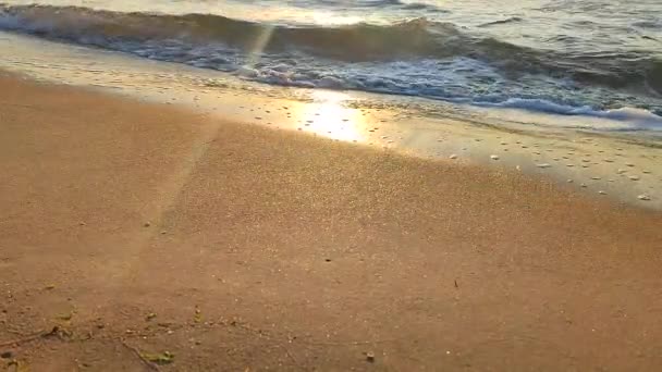 黎明时分 海浪在海滨沙滩上翻滚 蓝色的海浪 白色的泡沫滚滚在沙滩上 海滨海滨海岸线 自然背景 自然背景 — 图库视频影像
