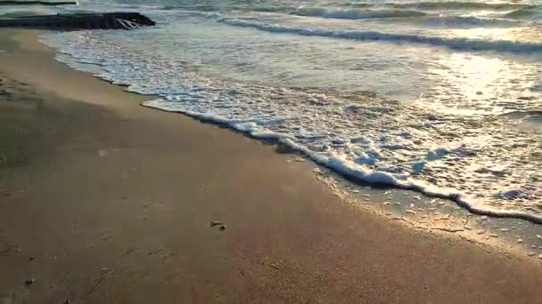 Mořské Vlny Valící Písčité Pobřežní Pláži Mořském Pobřeží Při Západu — Stock video