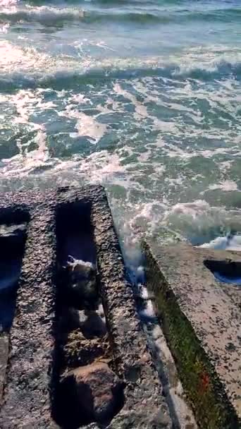 Onde Marine Battere Vecchie Lastre Cemento Sulla Riva Soleggiata Giornata — Video Stock