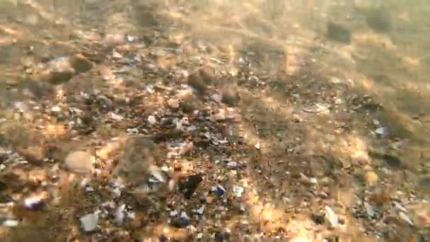 Sandbotten Havet Med Stenar Skaldjur Och Solstrålar Från Reflektion Solen — Stockvideo