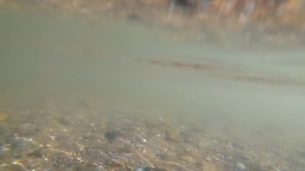 Podwodny Widok Piaszczyste Dno Skaliste Niebieską Wodę Powierzchnię Wody Poniżej — Wideo stockowe