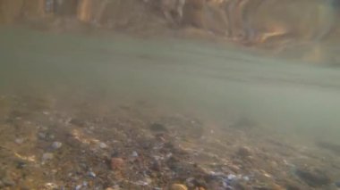 Kumlu kayalık zeminin sualtı manzarası, aşağıdaki mavi su ve su yüzeyi. Kum yatağı taşlarla dolu, suyun altında. Sığ, derin değil. Suyun altında hareket var. Doğal zemin, doğal zemin. Yavaş çekim