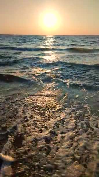夜明けの海 海に沈む夕日 日の出 海に沈む夕日 輝く太陽 青い波 砂のビーチ 太陽の光 海の風景の風景です 海辺の海岸 — ストック動画